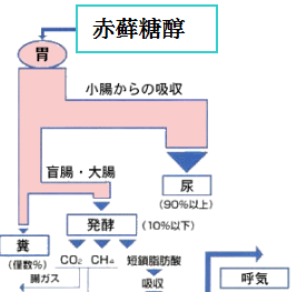 赤藓糖醇的生理特性