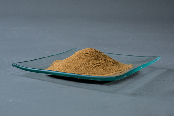 留兰香提取物体外抗菌作用初步研究